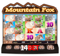 14bet