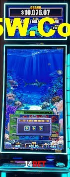 Live Casino 14bet